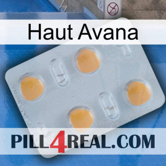 Top Avana 24